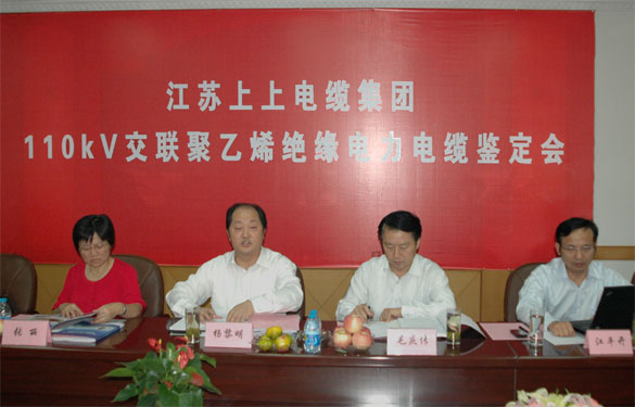 江蘇上上電纜集團額定電壓110kV交聯(lián)聚乙烯絕緣電力電纜產(chǎn)品通過鑒定