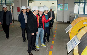 2015年11月22日，郎溪縣黨政代表團(tuán)一行來(lái)上上電纜參觀考察