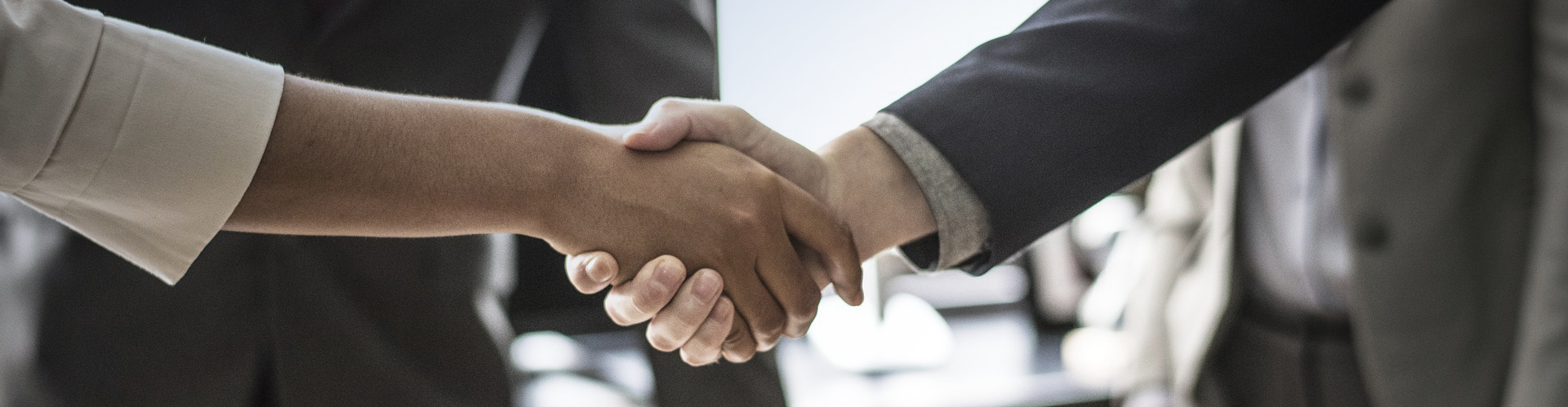 招標(biāo)采購(gòu)