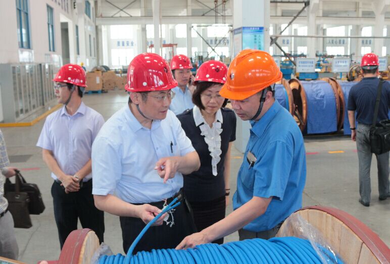 2016年7月22日，瀘州市委常委、副市長王建翔一行來上上電纜參觀考察