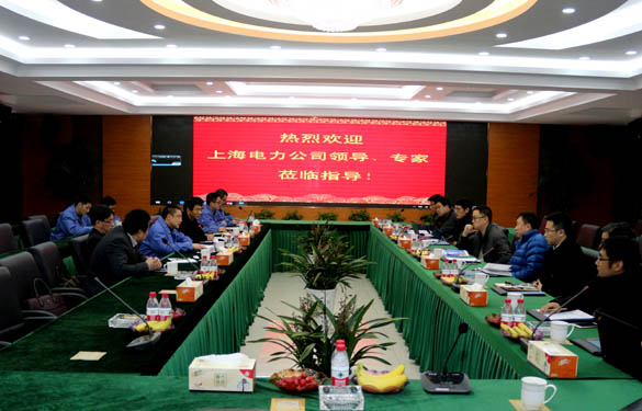 上海電力公司、上纜所領(lǐng)導(dǎo)、專家一行來(lái)上上電纜交流考察