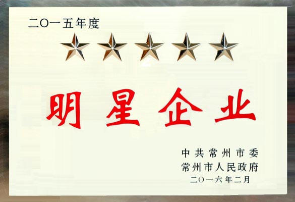 上上電纜在常州市“重大項目推進(jìn)年”動員大會上再次載譽而歸