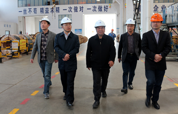 2015年3月26日，江蘇省射陽縣領(lǐng)導(dǎo)一行來上上電纜視察