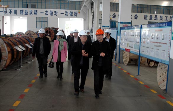 2015年3月13日，金壇市經(jīng)信局領(lǐng)導(dǎo)一行來上上電纜考察