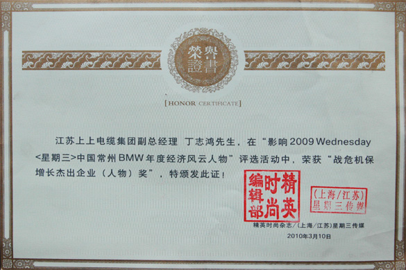 丁志鴻被評為“戰(zhàn)危機(jī)保增長杰出人物”