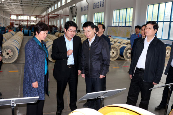 巢湖市委副書記張生一行來上上集團(tuán)參觀考察