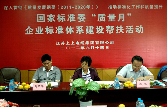 國標委“質(zhì)量月”專家組到江蘇上上電纜集團檢查指導工作