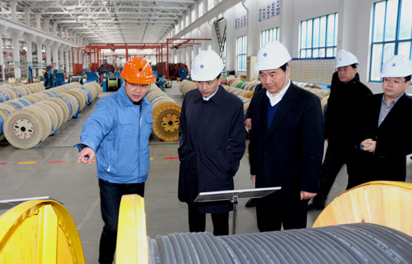 12月3日，無錫市錫山區(qū)黨政代表團一行來上上電纜參觀考察
