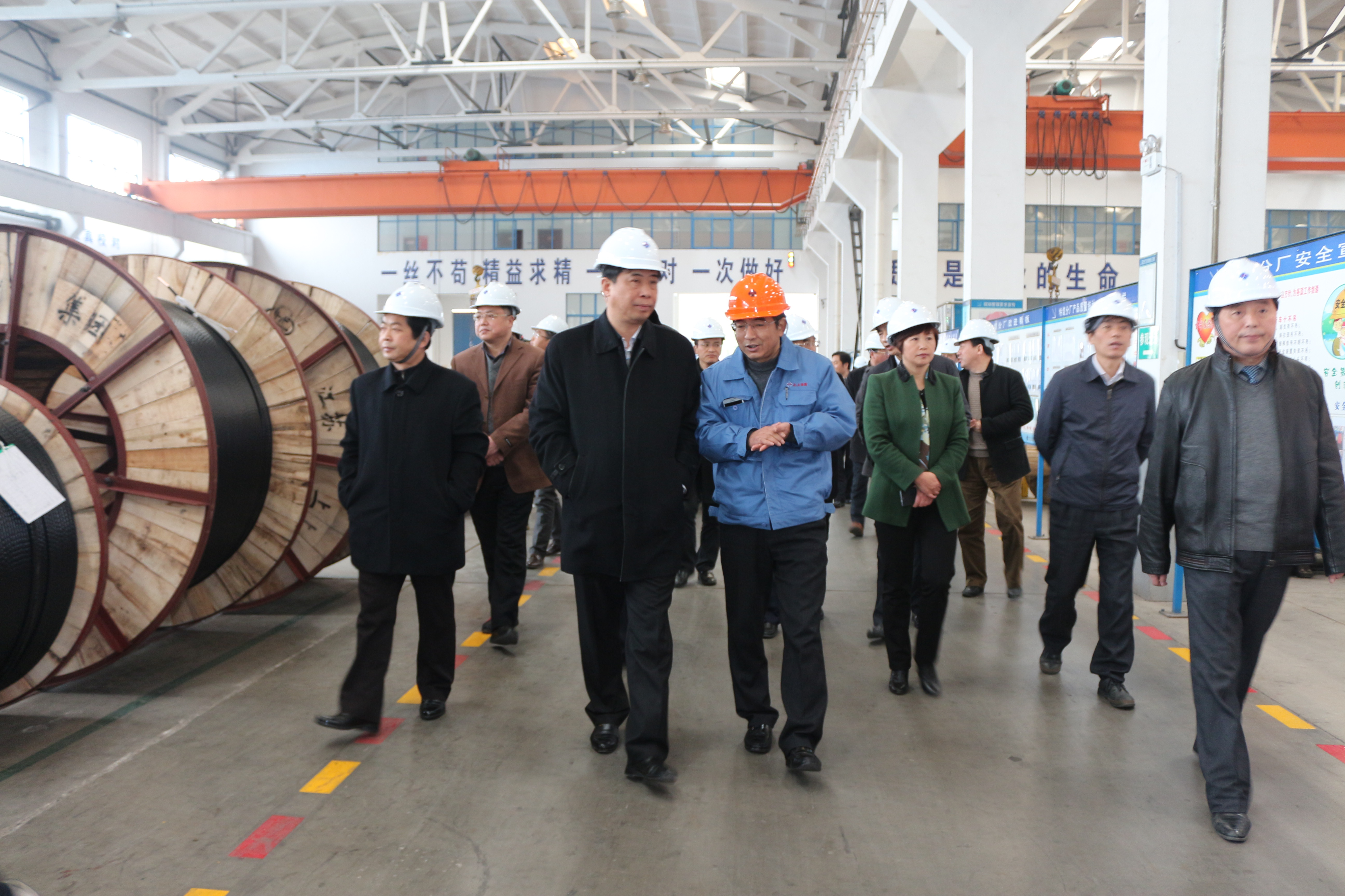 2015年3月11日，安徽省和縣黨政代表團一行來上上電纜考察