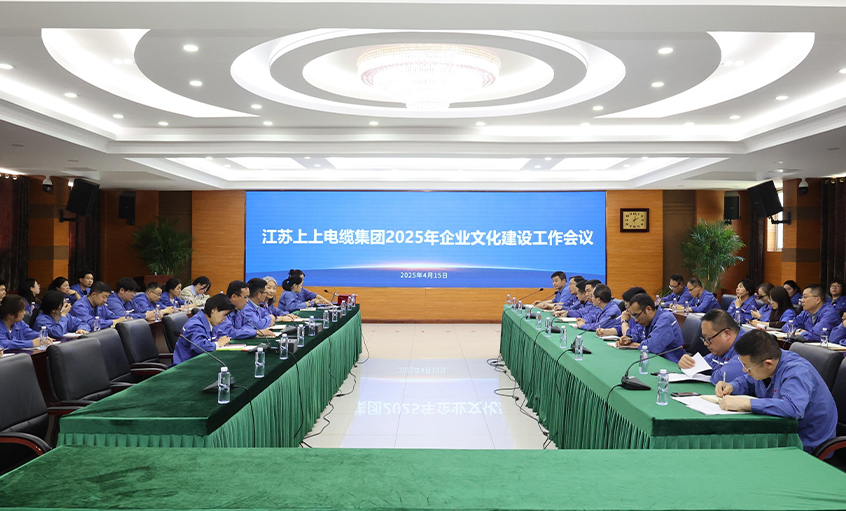 上上電纜召開2025年企業(yè)文化建設(shè)工作會議