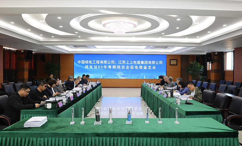 國際領(lǐng)先，上上電纜“核電站80年壽期核安全級電纜”通過國家級鑒定