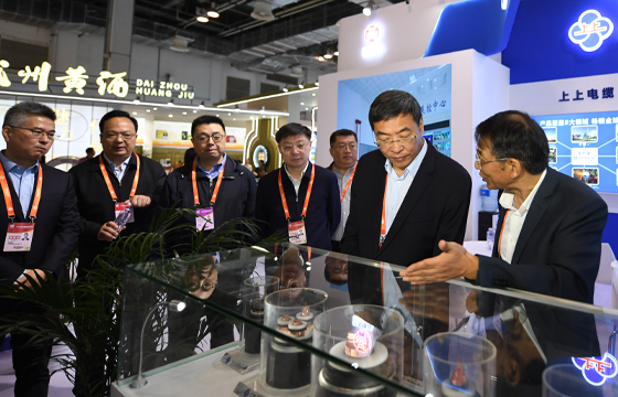 江蘇省委常委、常務副省長馬欣蒞臨上上展位-2.jpg