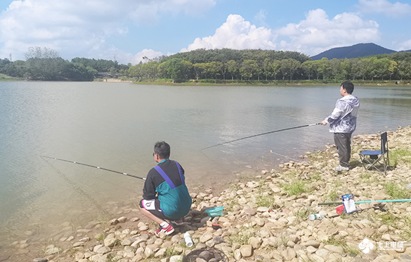 1726728825488002wn0r.jpg 7.jpg